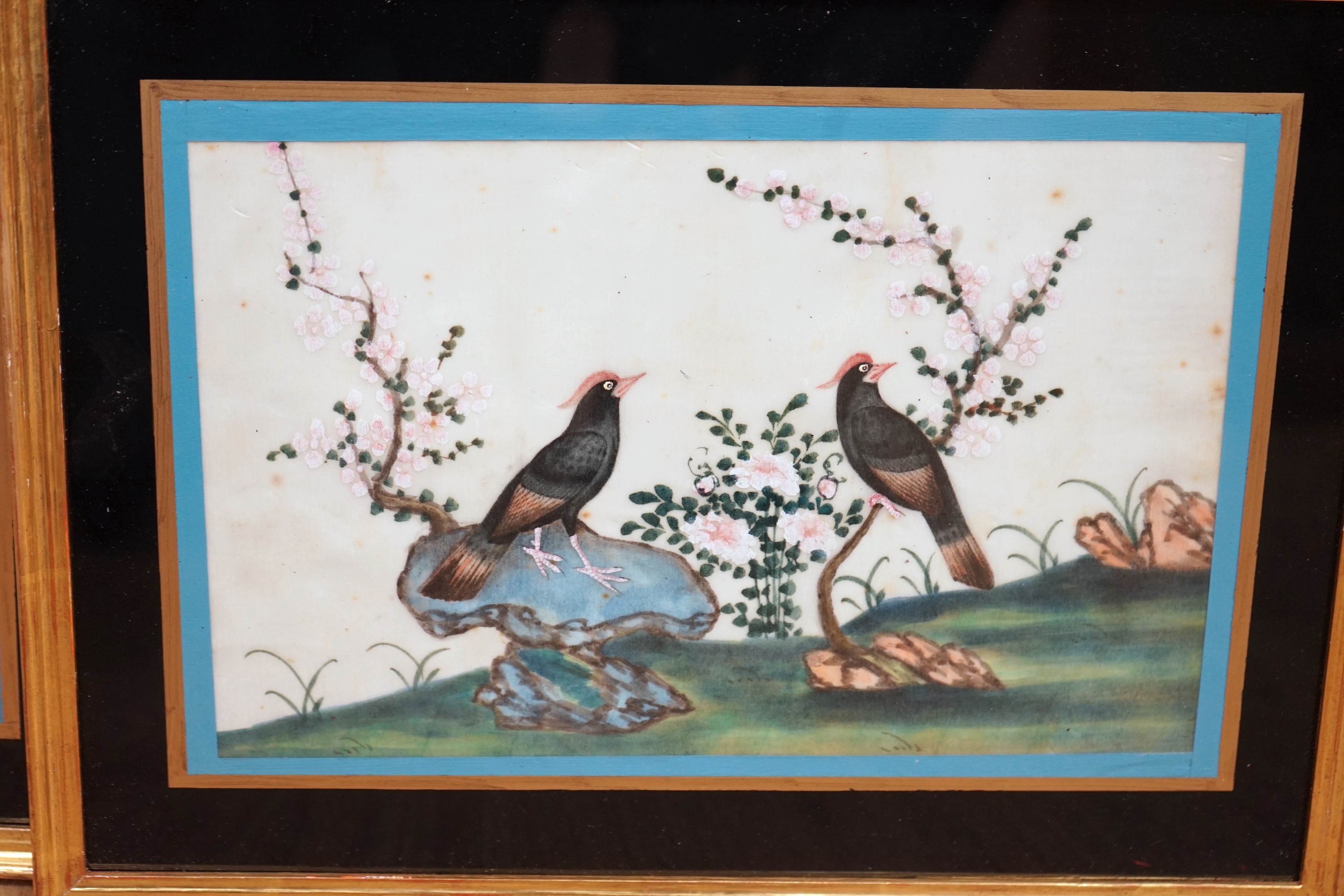 19th century Chinese School, pair of pith paper paintings, Birds of Paradise amongst flowers, 16 x 25cm